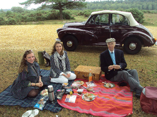 morris minor and picnic at new forest